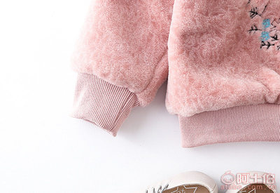 【sss2017冬款新款韓版女童加絨加厚刺繡寬松套頭衛(wèi)衣兒童上衣廠家批發(fā)G627】溫州市甌海梧田萌清童裝網(wǎng)店 - 產(chǎn)品庫